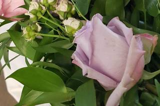 Sfumature di Luce - 2