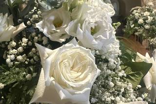 Il giardino delle meraviglie - 14