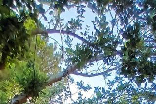 Celeste Gaudino Eventi - 6