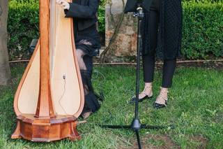 Eleonora Carbone Arpa - 4