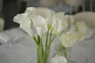 Gianni Orfeo Floral Designer - 26