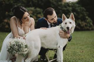 Wedding Dog Specialist Martina Ossola - 10