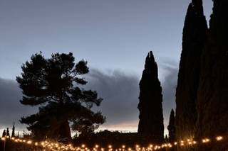Tenuta Riseccoli - 13