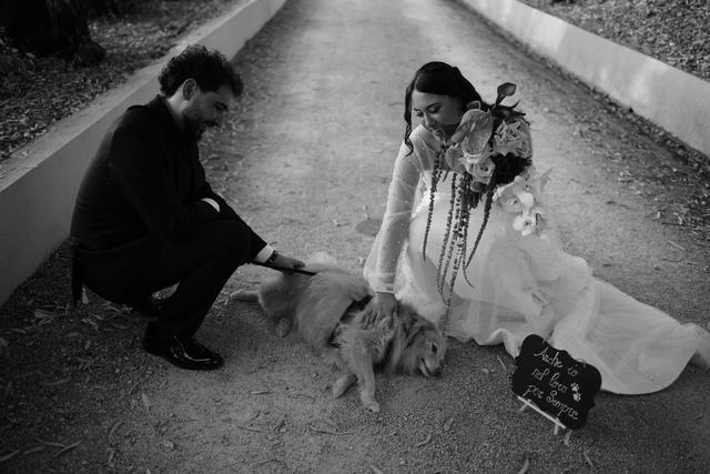 Wedding Dog Sitter Fido e Fedi - 3