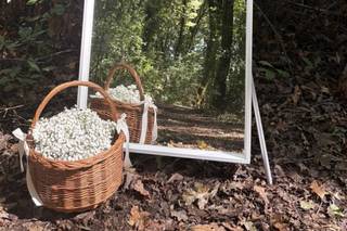 Il Bosco di Paliano - 5