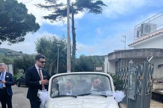 Exclusive Dreams - 8