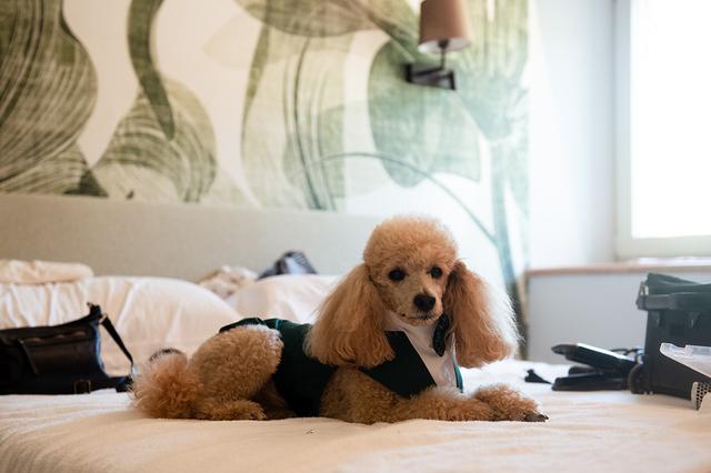 Barbara Di Cretico Photography - 4