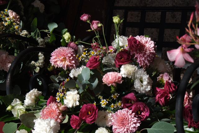 Linea Verde Balistreri - 1