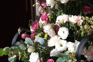 Linea Verde Balistreri - 8