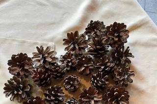 La Fioreria di Anna - 26