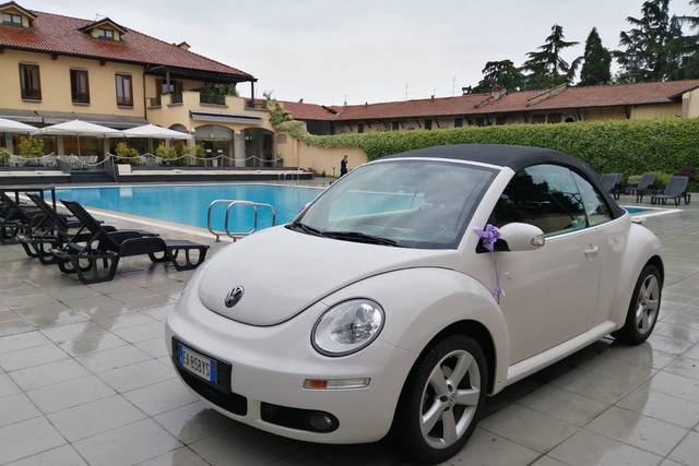 Il Maggiolone New Beetle di Flavio 2