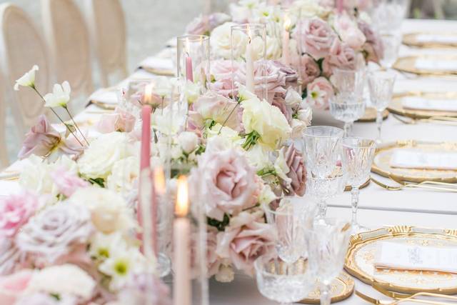 Serena Roga Events 2