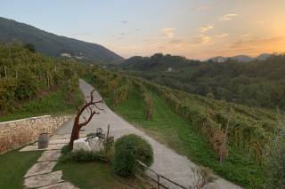 Agriturismo Vedova - 6