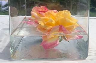 Premier Catering & Luxury Events - 5