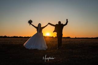 Maxifotovideo Studio Taurisano - 5