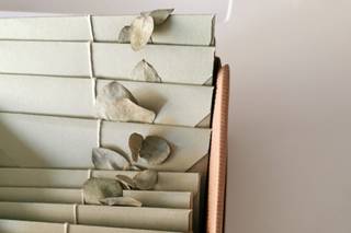 ADesign - 8