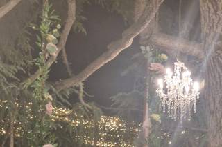 Tenuta Lucagiovanni - 16