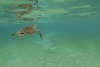 Vulci Viaggi di D'Angelo Mara - 10