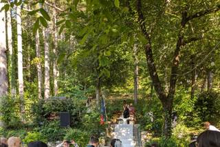 Country House Pineta - 7