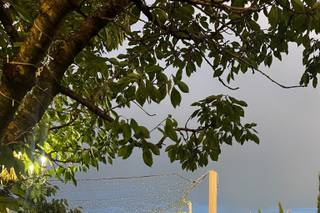 Amaranta Wedding – Di Rocco Ristorante - 6