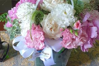 Piante e fiori Antonietta - 5