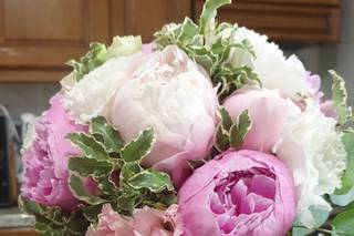 Piante e fiori Antonietta - 6