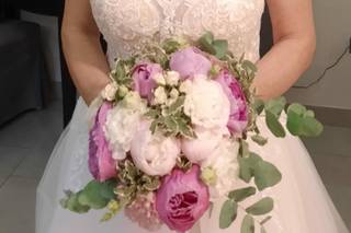 Piante e fiori Antonietta - 7