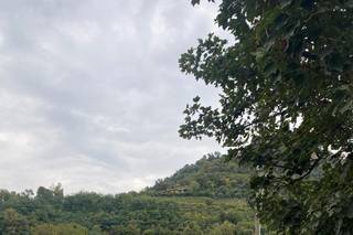 Io Mi Sposo In VW - 20