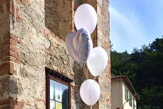 Bottega Seghesio - dal 1989 - 6