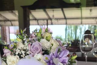 Bottega Seghesio - dal 1989 - 7