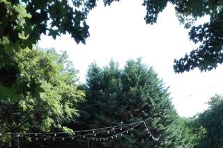 Villa Donna Giusi - 15