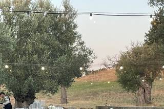 Borgo Saverona - 9