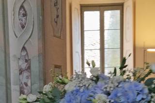 L'Orchidea Fiori - 9