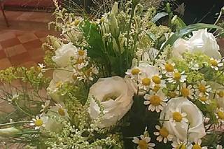 Raggio di Fiore - 8