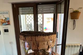 La scatola di Ward - 5