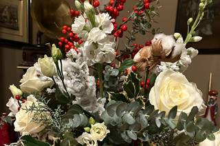 Piante e Fiori Di Franco Anna - 13