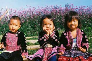 My Dream Viaggi - 25