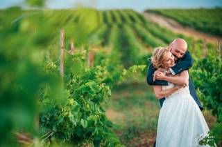 Tenuta Gorghi Tondi - 8