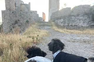 Davide - Wedding Dog Sitter - 9