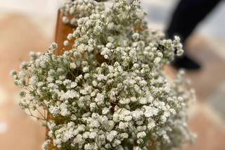 Ortofloricoltura Scapinello - 6