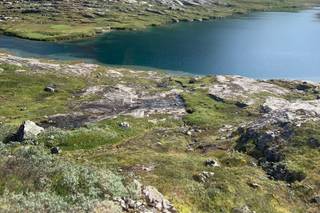 Banfield Travel - 10