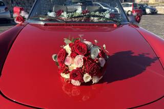 Santa Maria Cars - 8