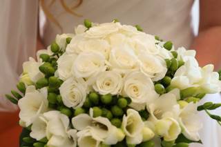 Garden Tuttoverde - 8