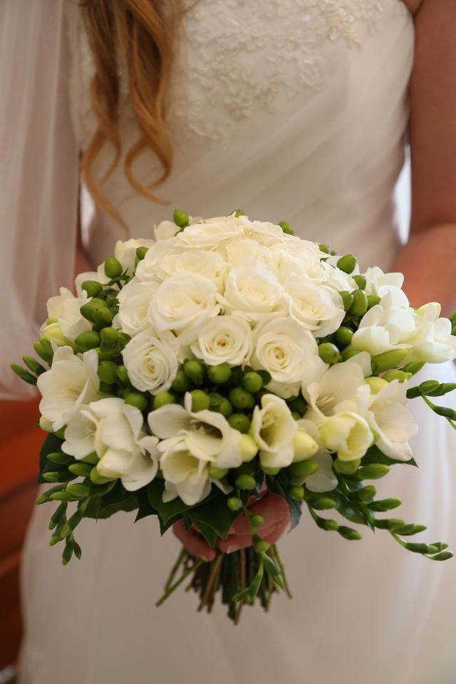 Garden Tuttoverde - 2