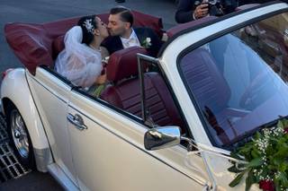 Maggiolino Frank - 8