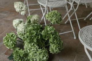 Amarélia Events - 7