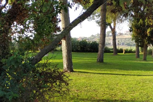 Villa dei Priori 3