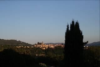 Agriturismo I Cedri - 8