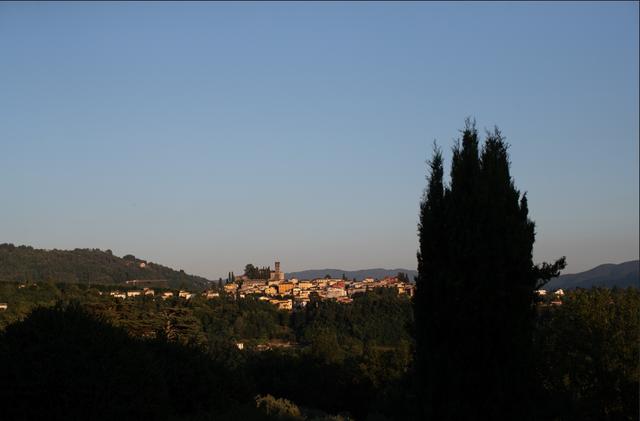 Agriturismo I Cedri - 1
