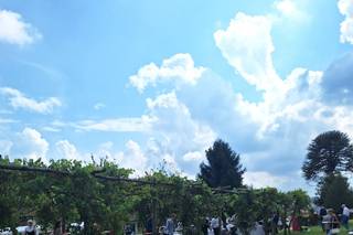 Cascina il Trono - 6